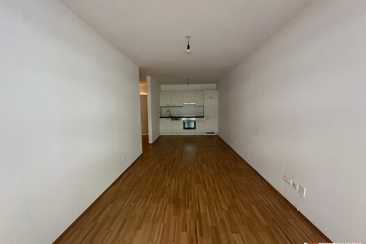 25Q2jSYnp70NZlZf1c47U1