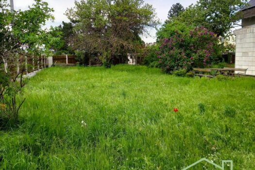 25wbyA0JrlSi68m4RZeXMI