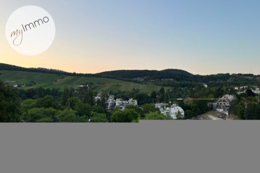 Exklusive Neubauwohnung mit Terrasse und Traumausblick! 1