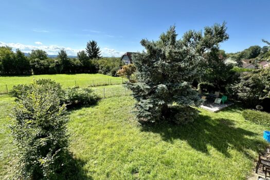 2ORSWEWkBv1HztOHGLkK9G