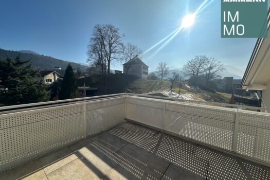 Zuhause im Zentrum: Großzügige Dachgeschosswohnung mit Dachterrasse zu vermieten Dachterrasse