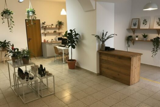 2PPkZIWxXTr7GeaqhqyCxK