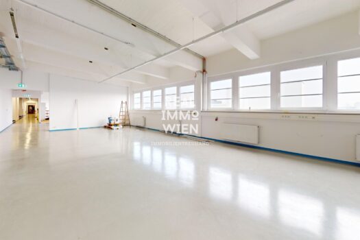 Moderne Büro- oder Praxisfläche in zentraler Lage von Traiskirchen! 2TxLyNjtqVdWyLkOijGGz3 3