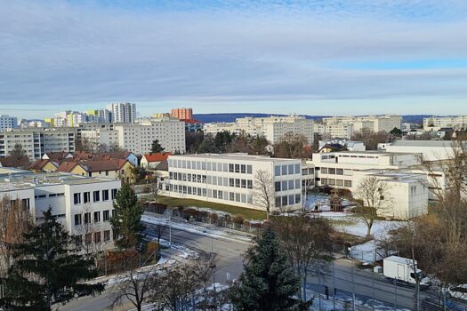 Blick über die Dächer Wiens