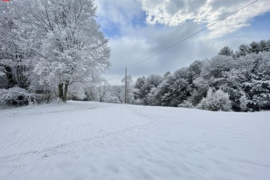 2extX7Uc3KaINxh2kfm12t