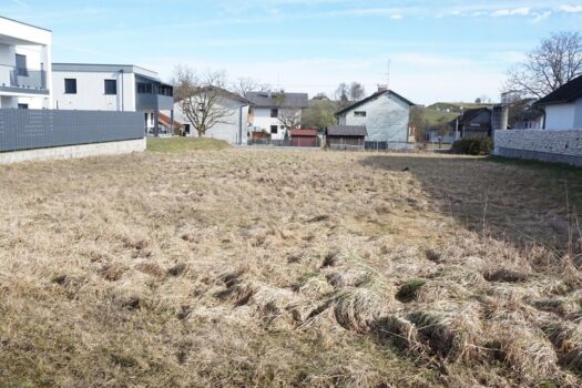 2vqOChWnjTtdMtz4qmgeP1