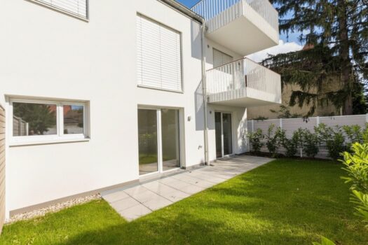 2yNfZ5WrPJPq6mHr6deuWq