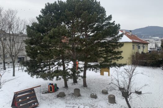 33cfS4FjWQ06tUn4zjcsDL