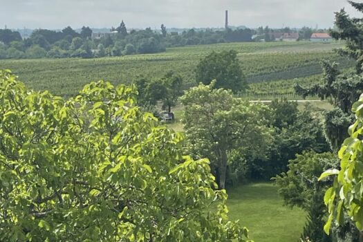 34JG9StpAEQ9MBjWouOxmC