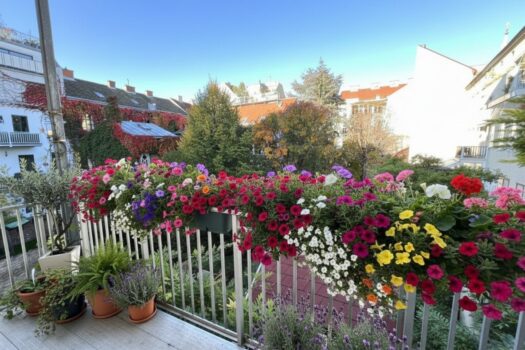 35frdxKrBuHVbT86N5o2gm