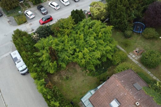 36OAPq3VzuCLkMrkfvh8jZ