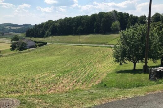 39JD2CQOg2siCjyBKAOpZ4