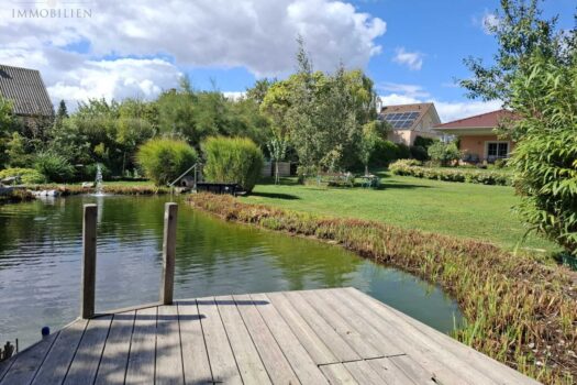 Schwimm-Biotop im Sommer