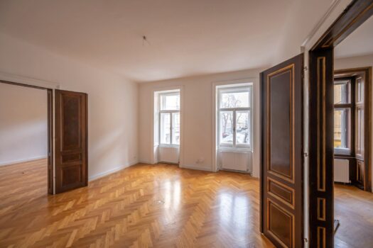 3AA2O1cX53Zyu1StFe93Zy