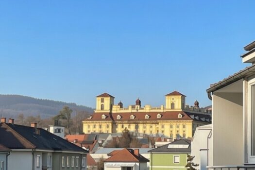 3AtKN565sR82MGg2DzKfIN