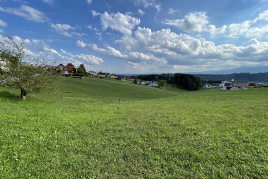 3Gli3cSZCac1lDhpJccnhS