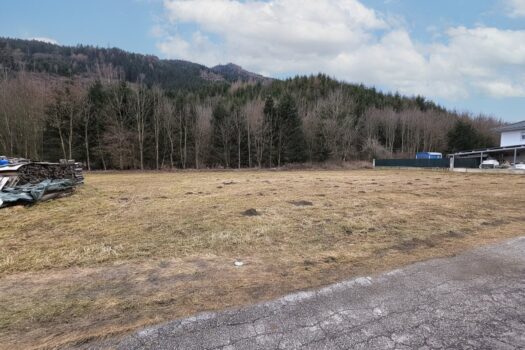 3MFCLjM7w2pnBebj6Lnmmy