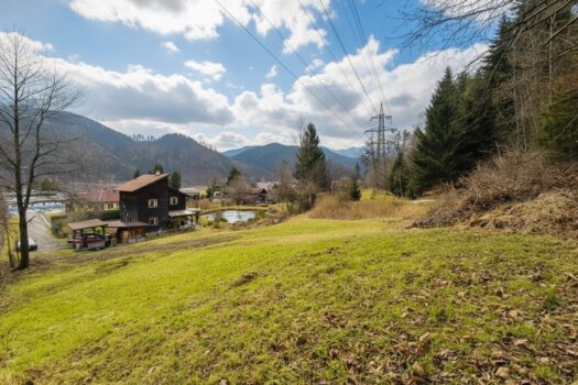 3T45amQdUXr092Cu53iYZI