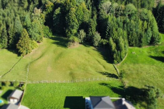 Drohnenfoto Baugrund Wiese - Wald