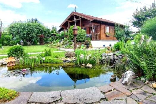 3TOAbhNelV3MvdWMw4ZzeX