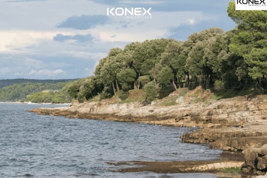 3ZxmovXfA95ap0NX0xgLg6