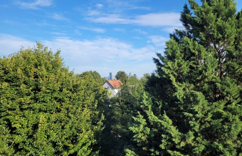 Grün mit Skyline in der Ferne