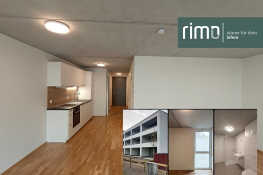 3jYD5NOnNKIZLmg5n0fe5a