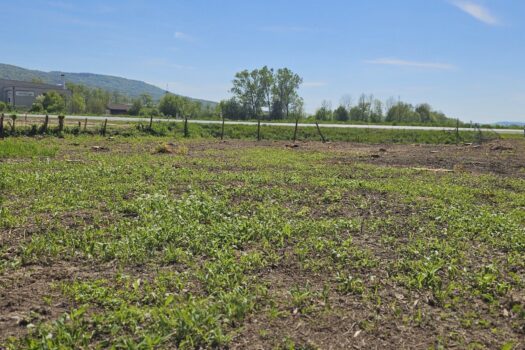 44tMxyO65wnyu6DyknpWto