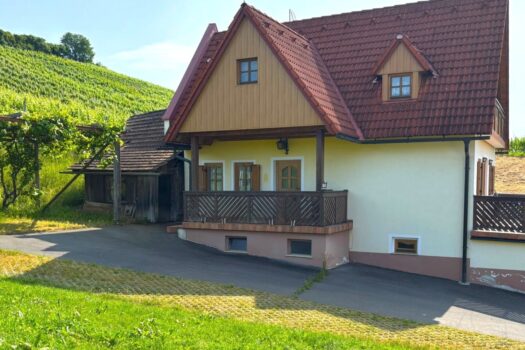 4HqVKh7jxflWbwAd50NIlJ