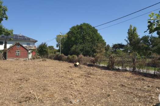 4KXguYFXD6mWH1JeRzRHIe