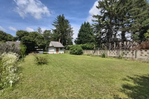 4NQC8Bqn9F6eyWKgFOO0iN