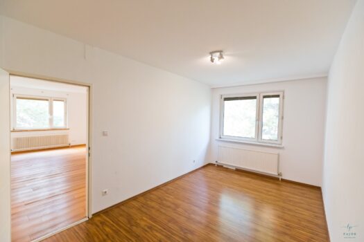 4TZve62slQJ0WWpL1apie2