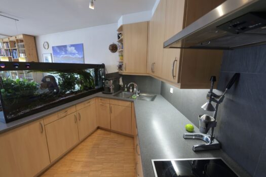 4ULHlpaCTatVQmC8qNtZhU