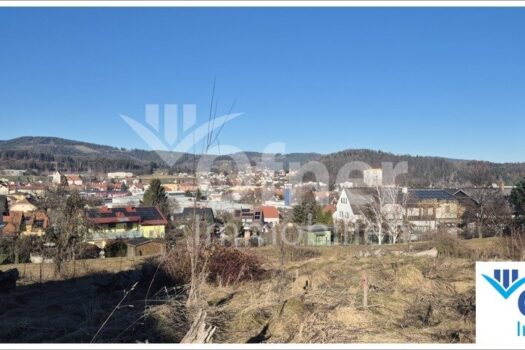 4aeUd8X8p9ZVoxq5iJRsBq