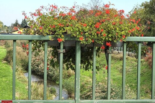 4hd42ICdQtqcGVRnWOfosX