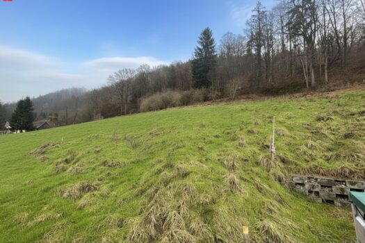 4ley1mYqrKhRGFNrahtH0Q