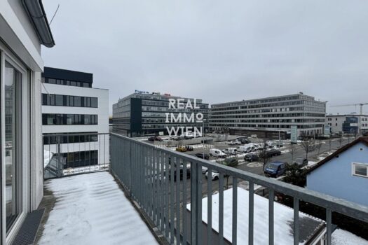 4pPTRsG263qKUk1DM6bi6J