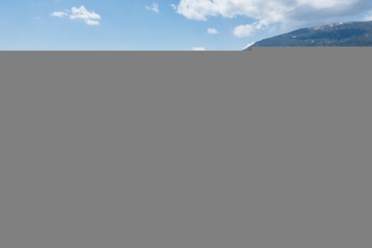 4qfSS8bgY4ucYbbbSNNLWE