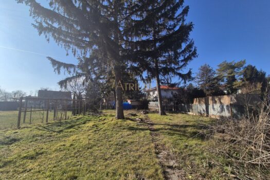 4wbMYNkIMNPtvSH9CswaD5