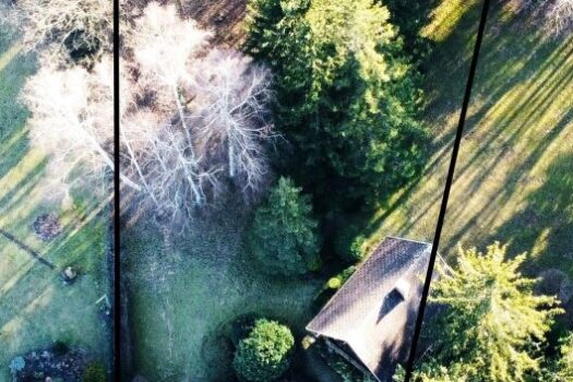 52cLem93w8FAFZHZKfLnf4