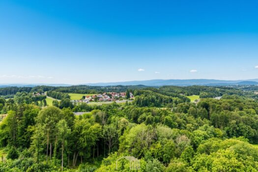 57Ju4t2nRubrR0bVN6DCiL