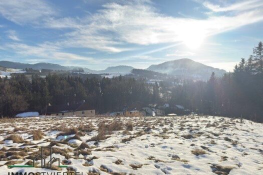 5Cr1VN58otgiMwhuu6XPSb