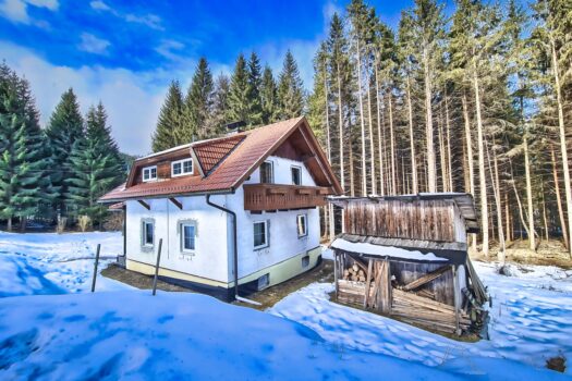 5EobrPFT49ZlPSLjENscze