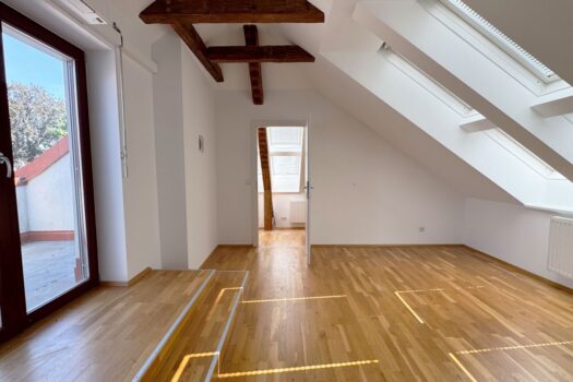 5F52s7oSBtVENYuhmGX2NK