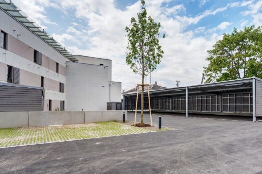 5aJC5AfPNZvMiv0suVWR7n