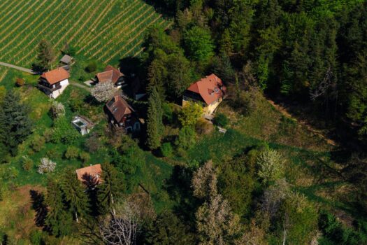 5bRUgWLzvmHwanm1v7bPD1