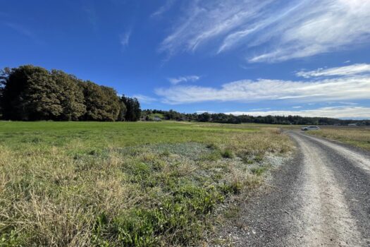 5kUtT1QgwvYk5tYQ8wzvNm