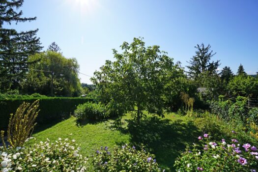 5zN6gx3f37ns49J93S8S9L