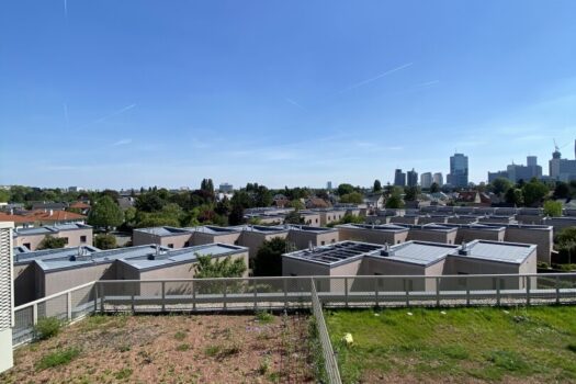 61S2GNKbQOtSNQKZH7trBD