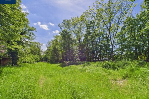 Exklusiver Bauplatz 2 - 502 m² - in NEUNKIRCHEN - Entwicklungsobjekt in Bestlage Ansicht Baugrundstück - Pic 1